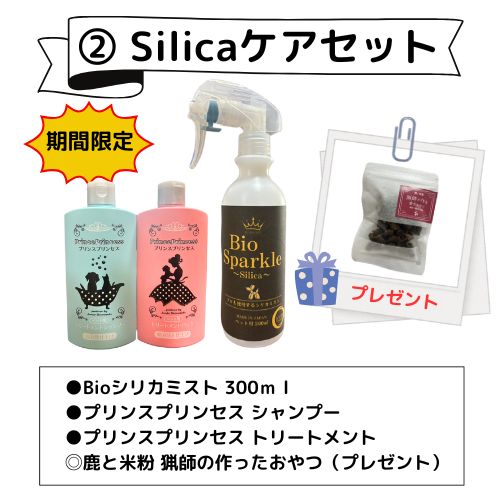 【期間限定ケアセット】BioSparkle シリカミスト＆シャンプートリートメント